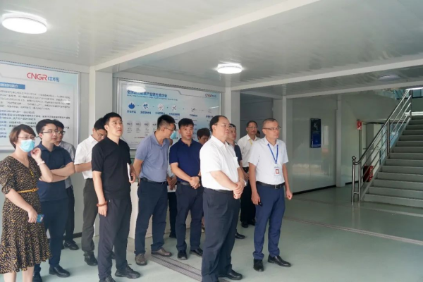 國家發(fā)展改革委綜合運(yùn)輸研究所所長、研究員汪鳴率調(diào)研組到中偉欽州產(chǎn)業(yè)基地調(diào)研