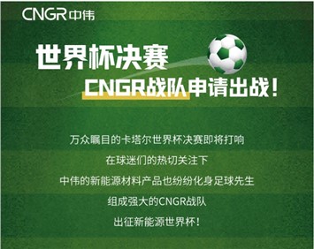 世界杯決賽 | CNGR戰(zhàn)隊申請出戰(zhàn)！