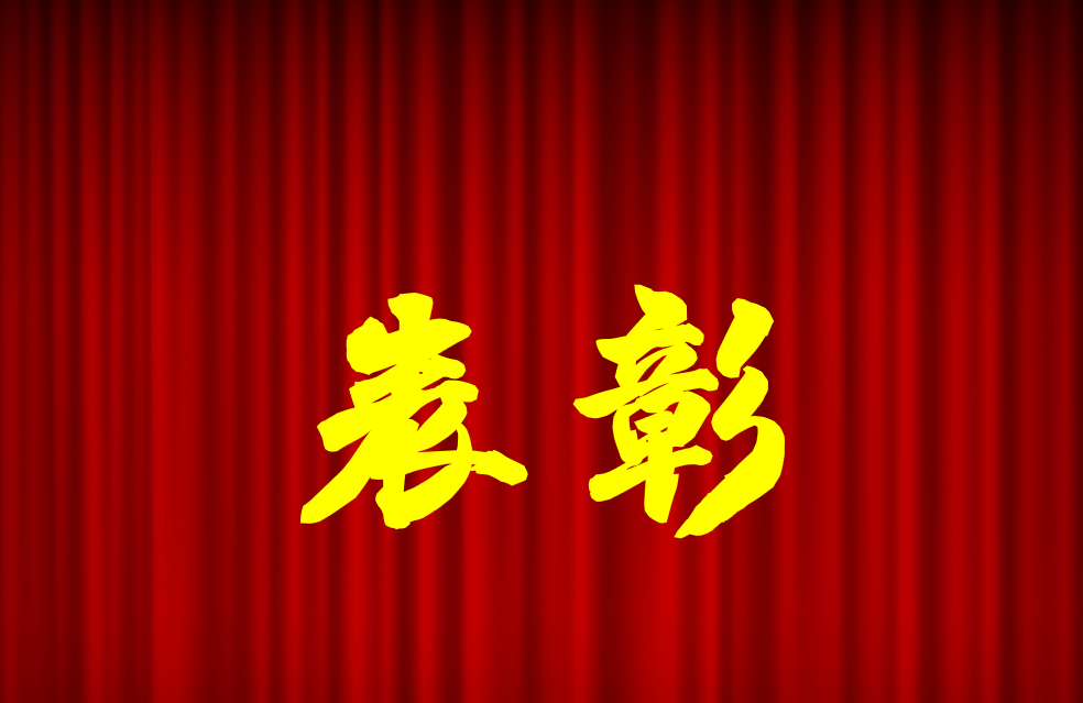 逐光前行、榮耀共鑒 | 公司2024年度表彰來(lái)啦！